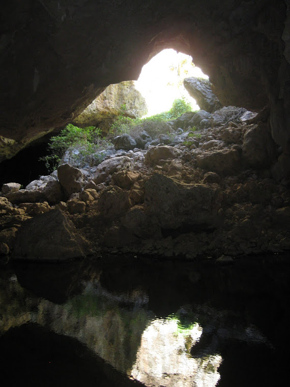 Tunnel Creek Caves