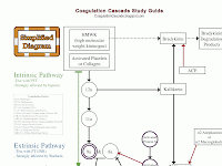 Clotting Cascade Diagram Clotting Cascade Diagram