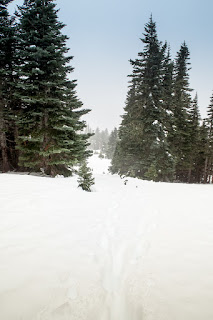 Green Mountain, Nanaimo Lakes Region Vancouver Island