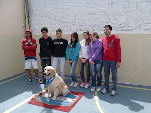 O CÃO "MAX" VISITA A CONVIVER!