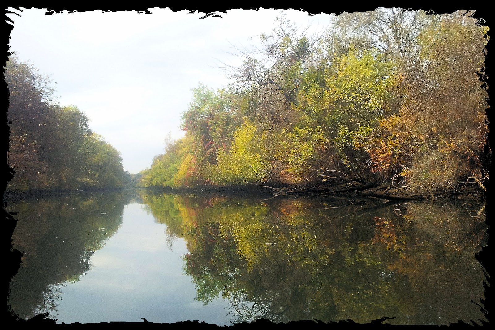 Kayaking the California Delta Cosumnes River Preserve