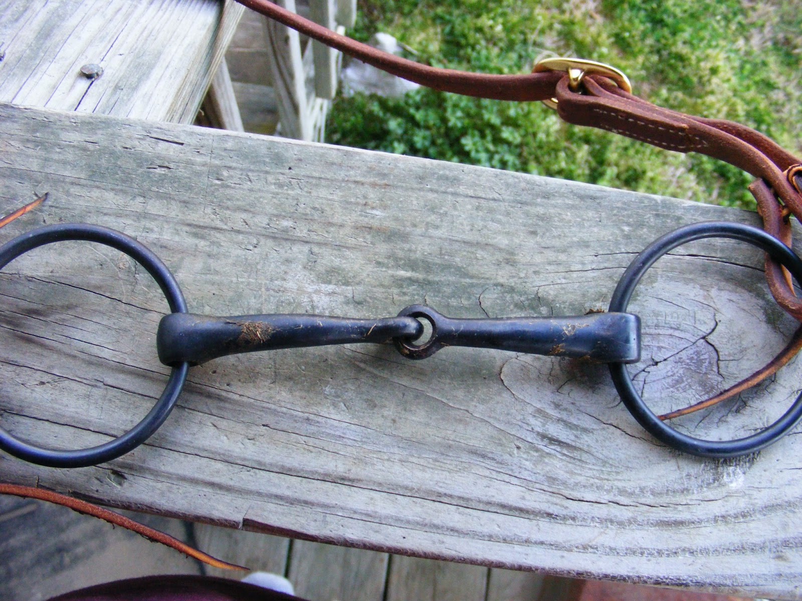 Not Another Horse Blog Proper Bit Fit Snaffle Bits