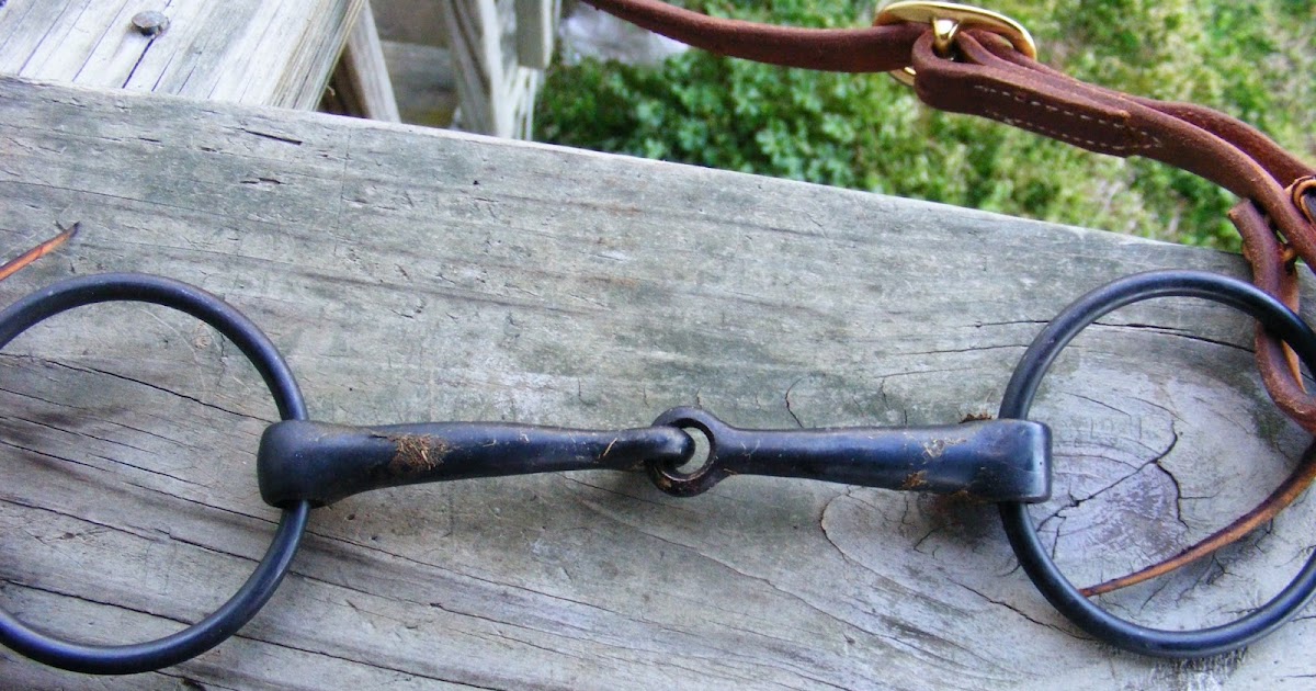 Not Another Horse Blog Proper Bit Fit Snaffle Bits