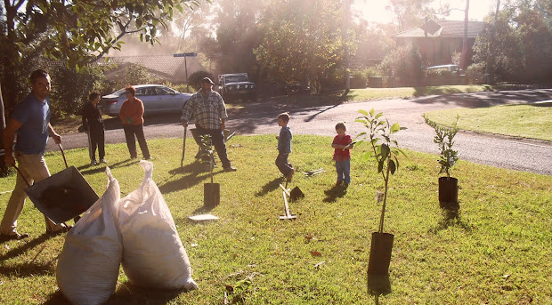 funky frontyard farmers 2011