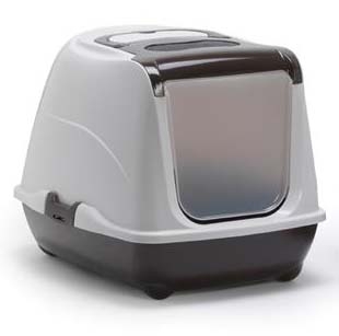 kedi gunlugu blogger