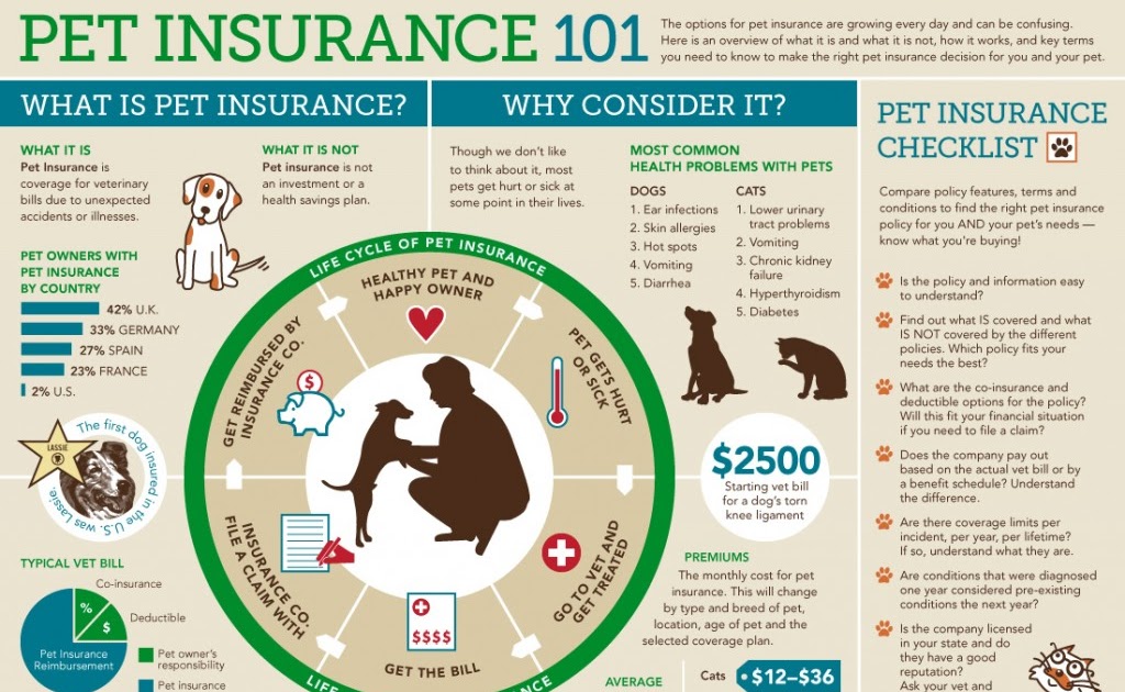 Great Pictures Pet Insurance 101 [Infographic]