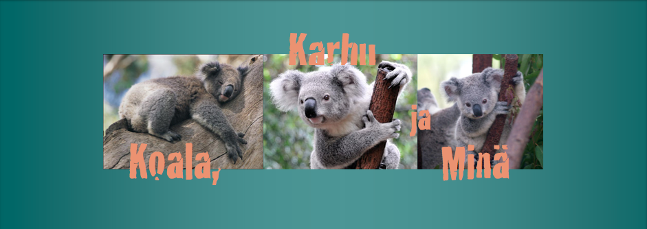 KOALA, KARHU ja MINÄ