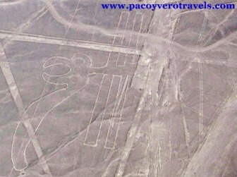 Sobrevolar las figuras y lineas de Nazca en Perú