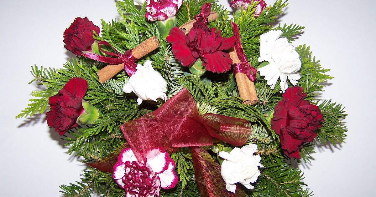 Dufilet: poze cu flori in zapada Flori pentru suflet: Si tot de iarna!