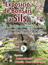 EXPO SILS 2011