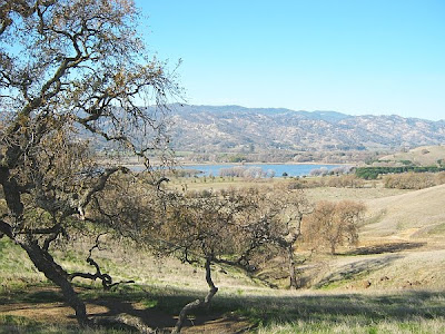 Lagoon Valley Park