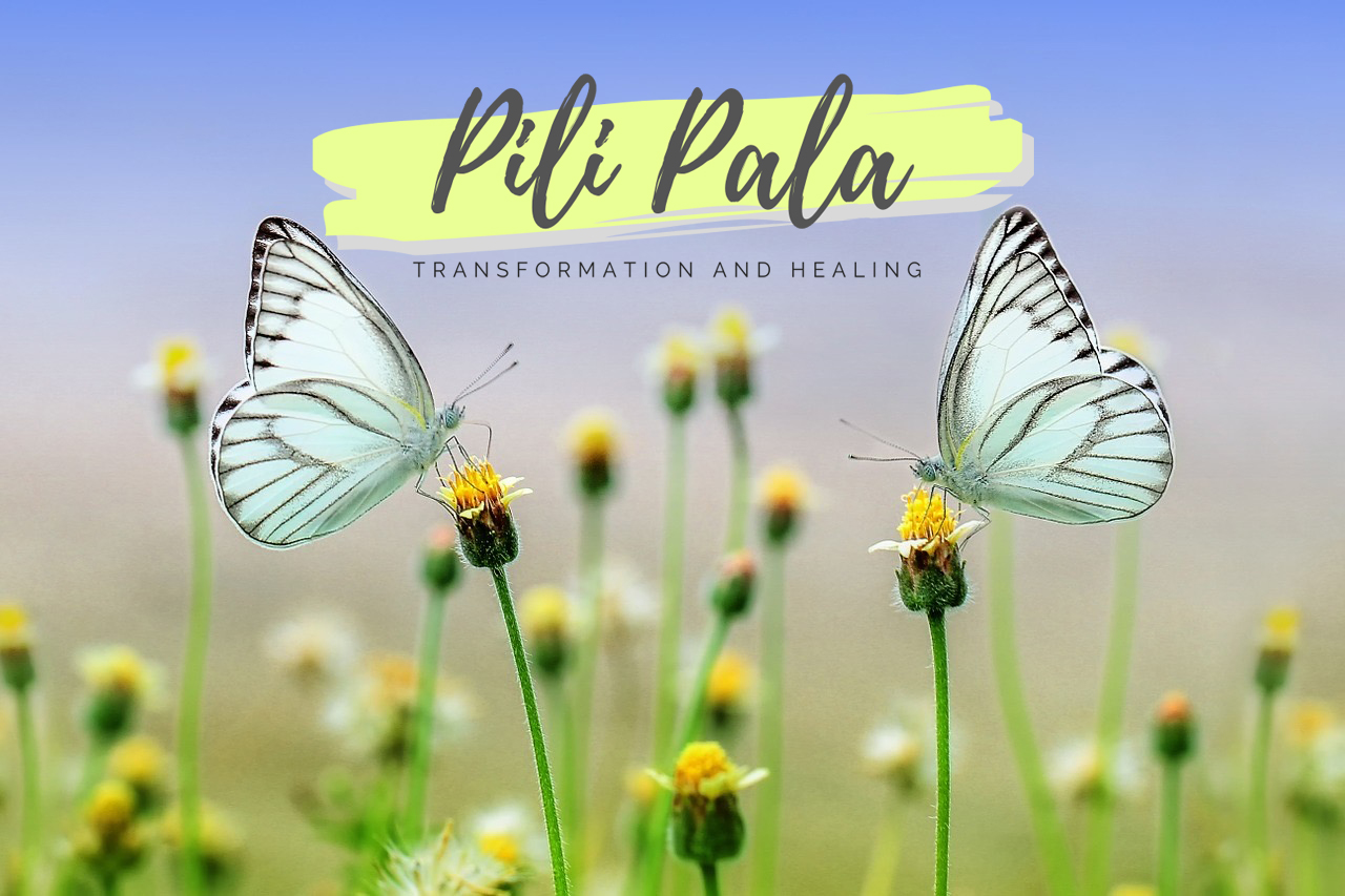 Pili Pala Transformation & Healing 