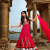  Marvelous 2014 Collection of Wedding Wear Floor Length Anarkali Dresses 