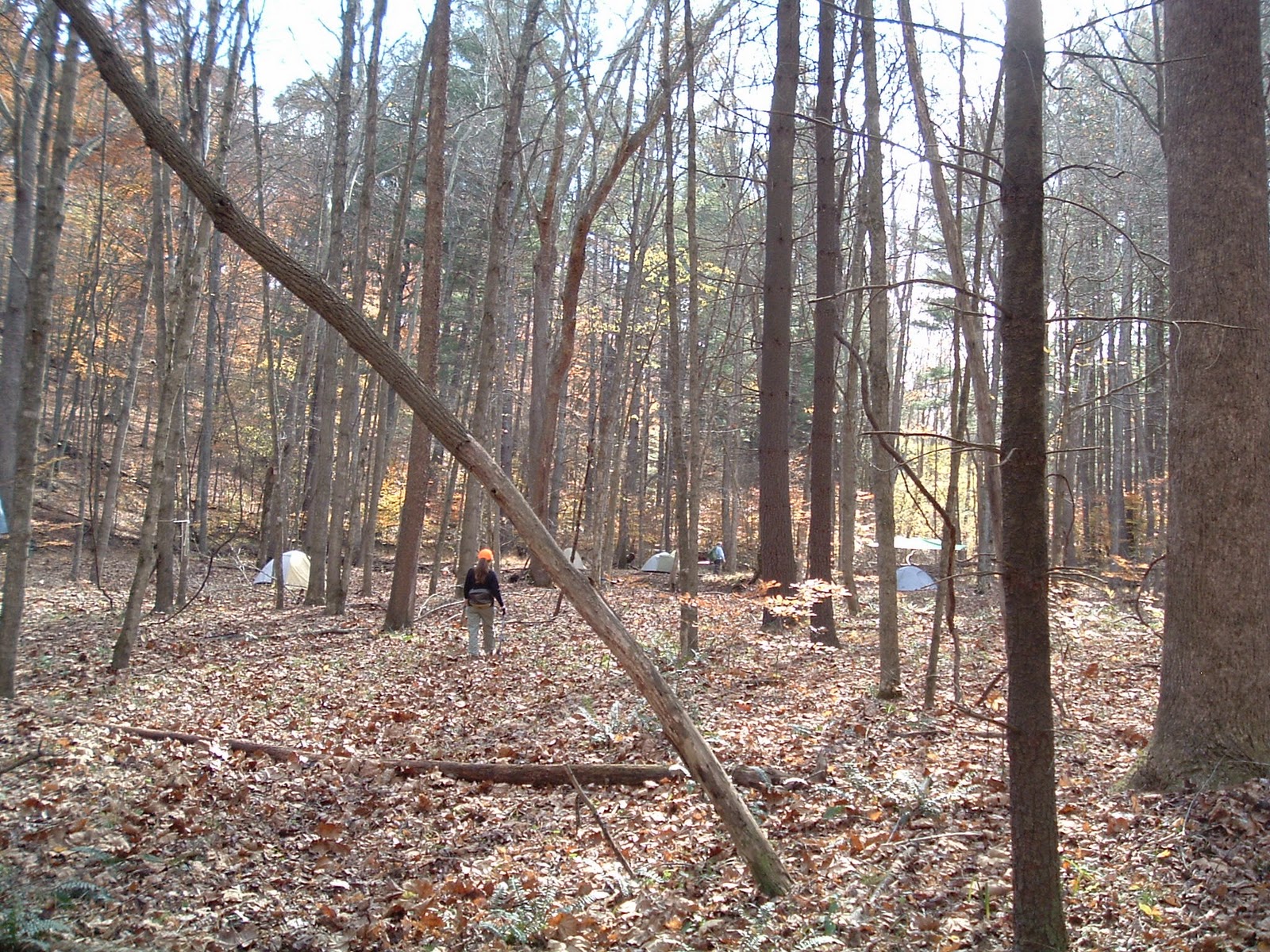 Backcountry Mysteries