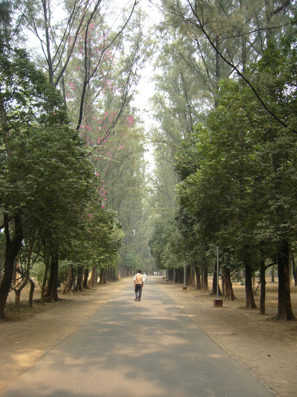 Beautiful Bangladesh National Botanical Garden, Dhaka