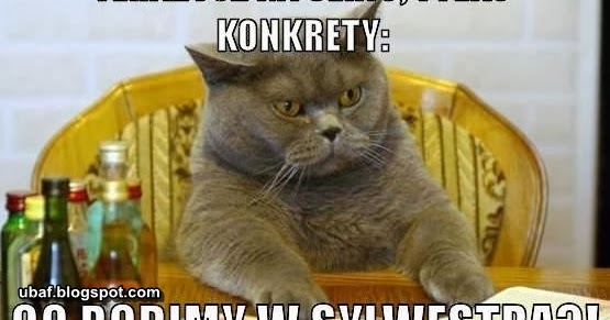 Co robimy w sylwestra? ~ Śmieszne Obrazki i Gify