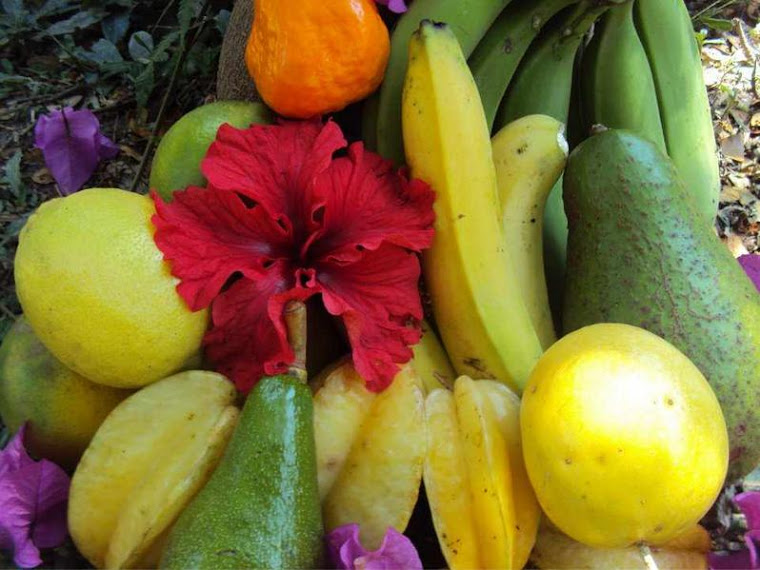 Organic Fruits and Veggies