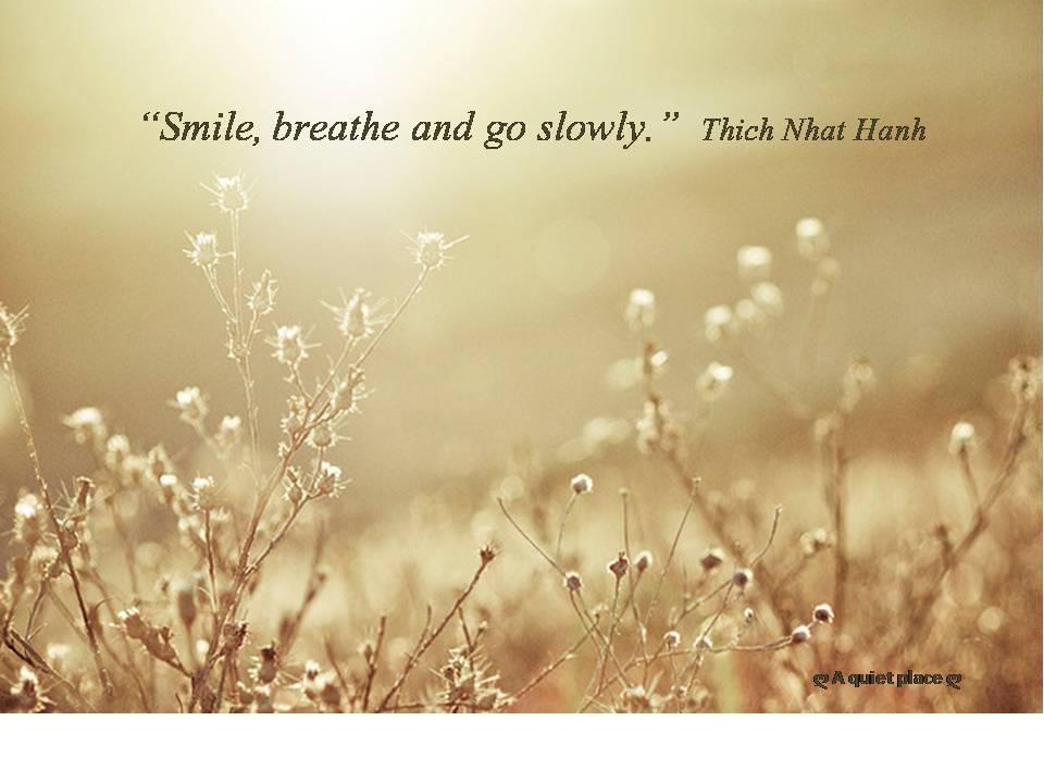smile,+breathe+and+go+slowly.jpg
