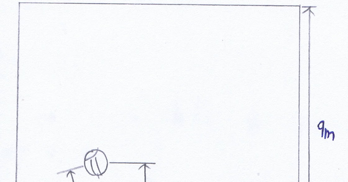 Physics of Volleyball The Serve Fig. 1