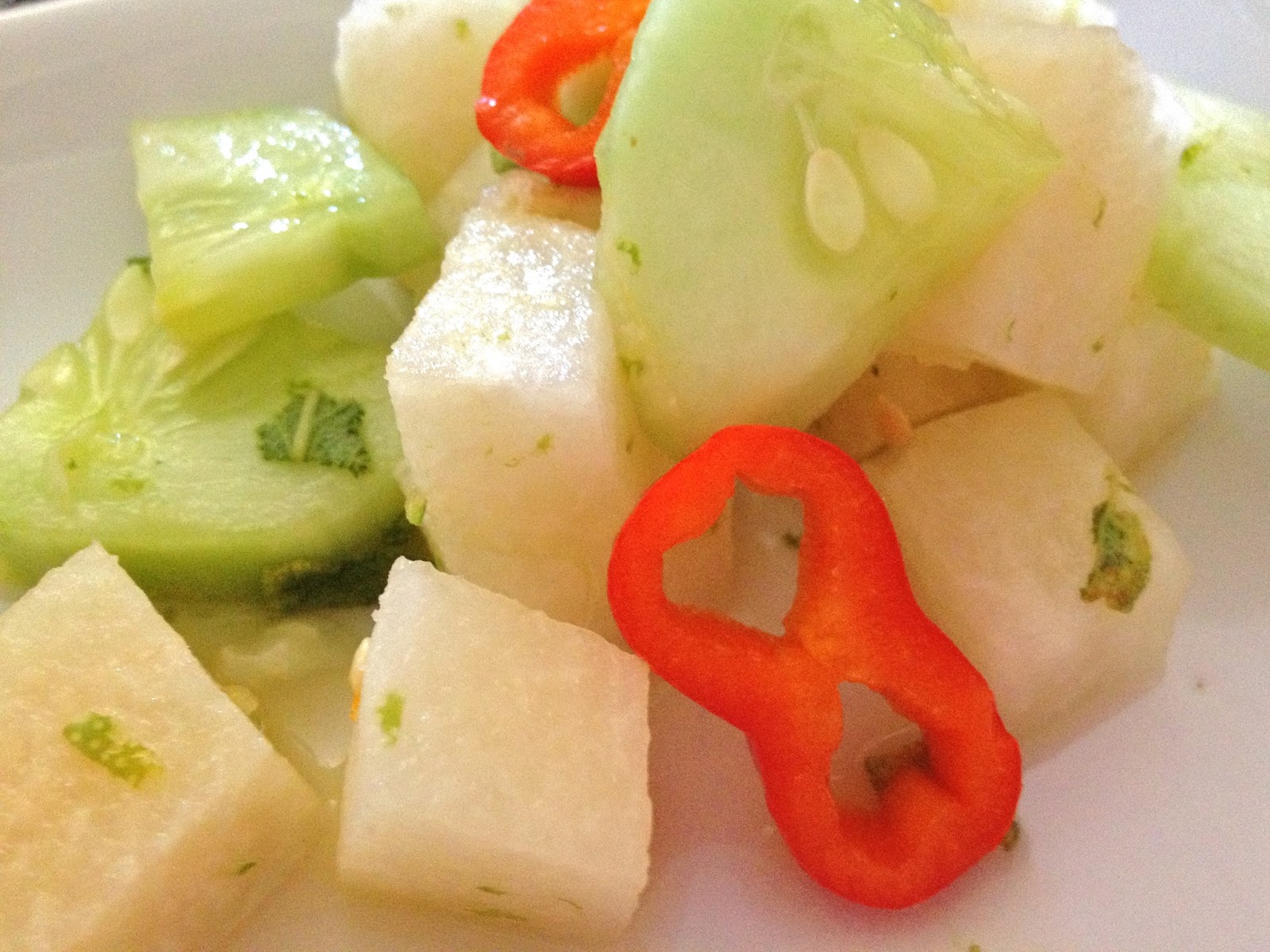 Wasatch Mountain Chef Jicama and Cucumber Salad