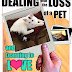 Dealing with the Loss of a Pet and Learning to Love a New One - Free Kindle Non-Fiction