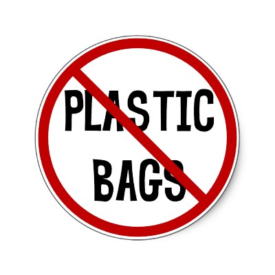 Essay on single use plastic 500 words picture
