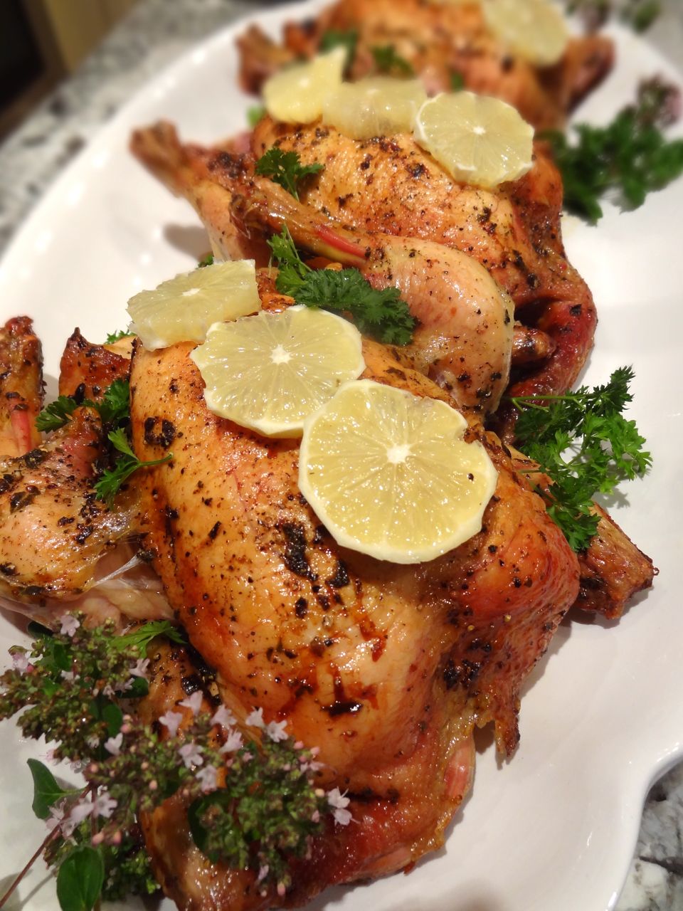 Scrumpdillyicious BBQ Roasted Lemon Chicken with Garlic & Herbs