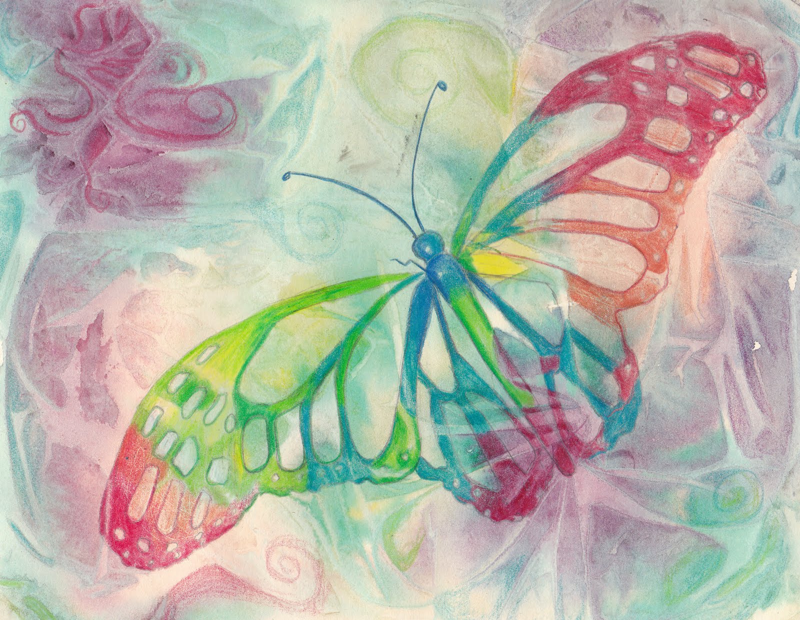 Butterfly Drawing Pencil Colour.