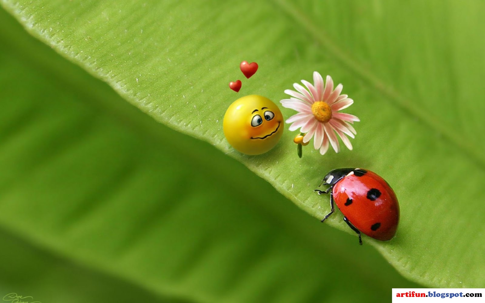 http://1.bp.blogspot.com/-AQcUqurtMBQ/UJ6gT1obQuI/AAAAAAAAMvU/A6UzlNBUJdo/s1600/3D+Amazing+Wallpapers+HD+High+Resolution++1.jpg