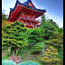 Japanese Tea Garden.