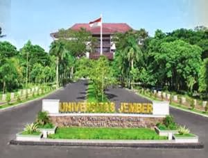 Lowongan Kerja Terbaru Agustus 2019 | BUMN CPNS 2019: Universitas