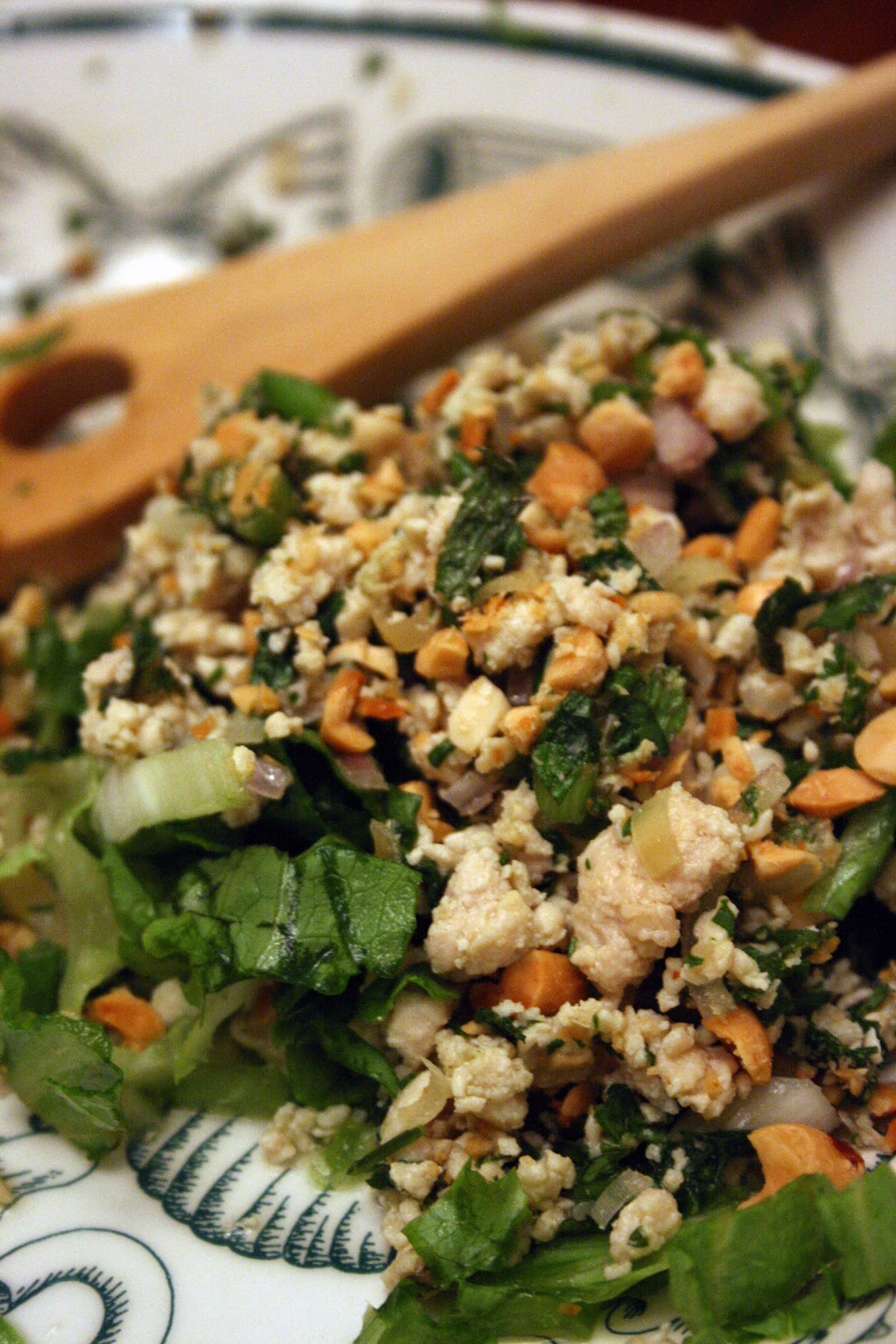 A Half Baked Life StopMotion and Larb Gai (or Tofu)