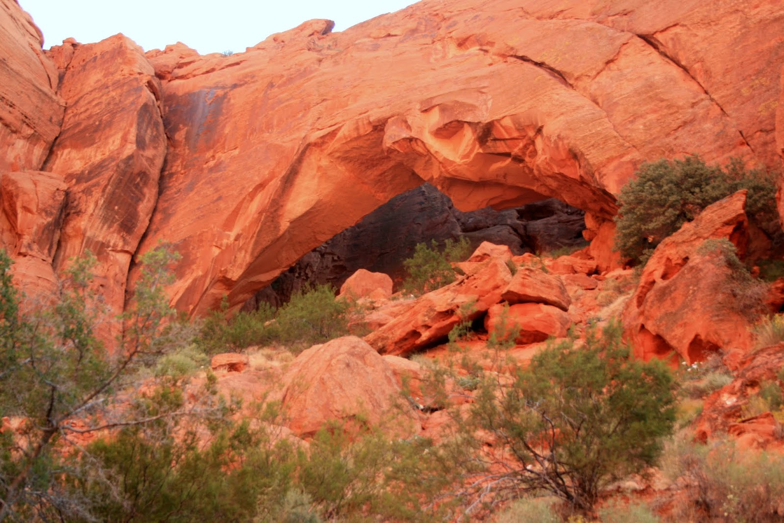 Stillhowlyntravels Snow Canyon State Park