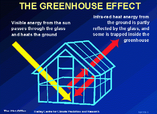 The Global Greenhouse Works.