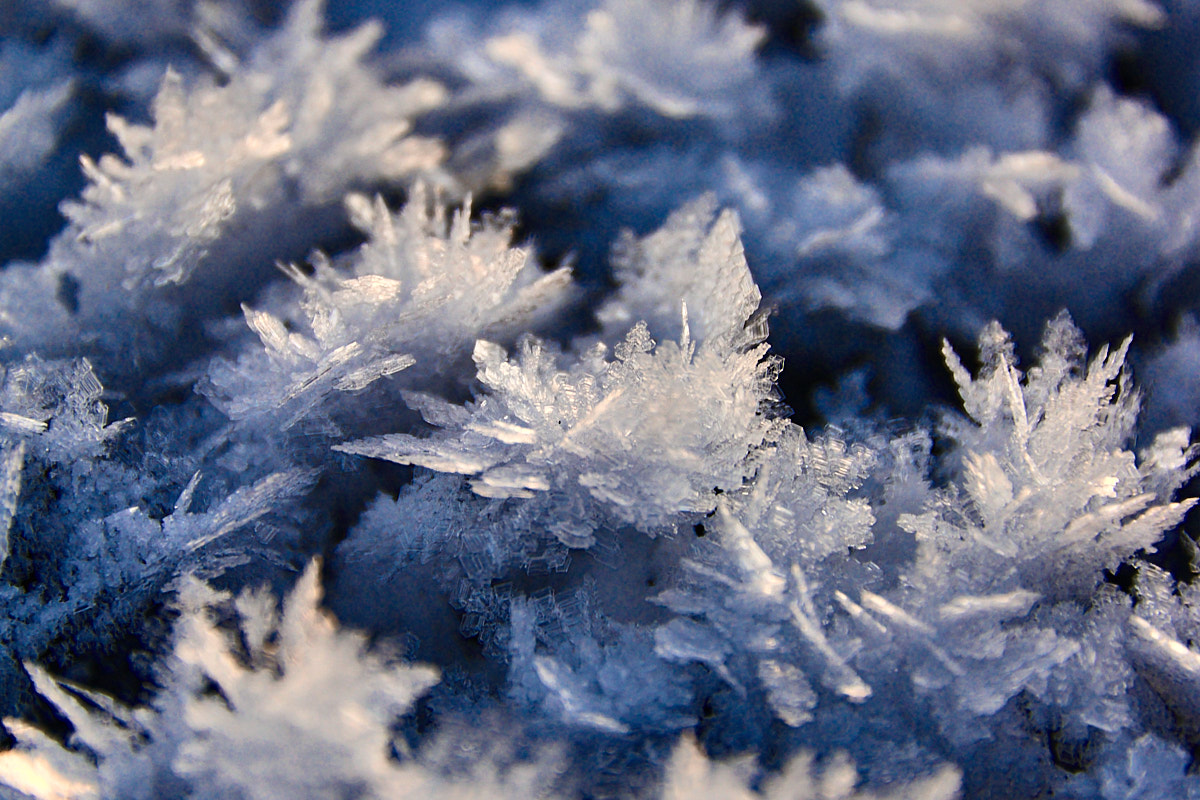 Немного фоточек с прошедших выходных