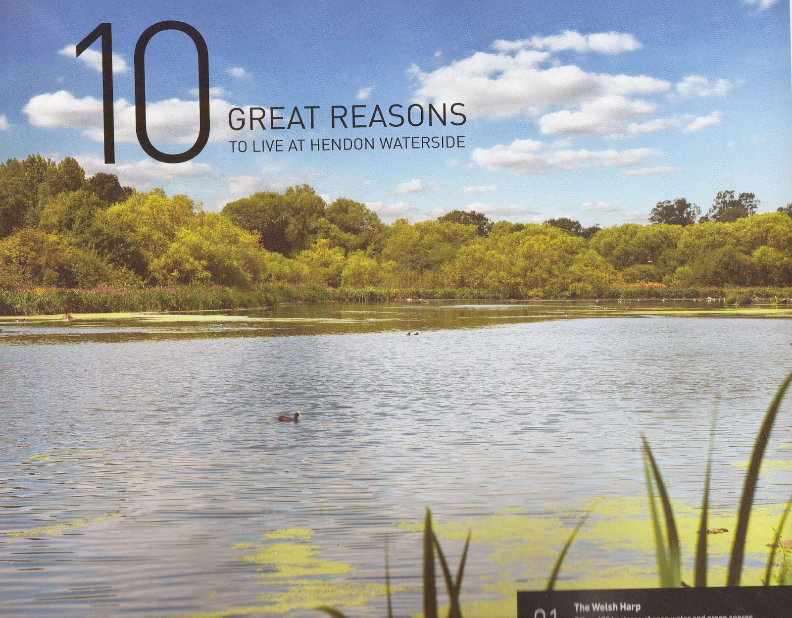 Save Our Welsh Harp: The West Hendon Barratt development in telling pictures