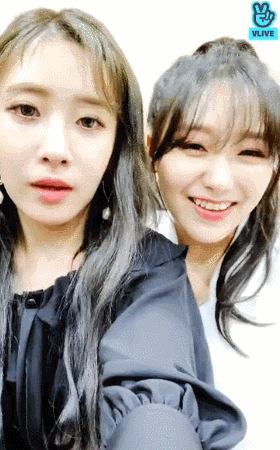 5.gif