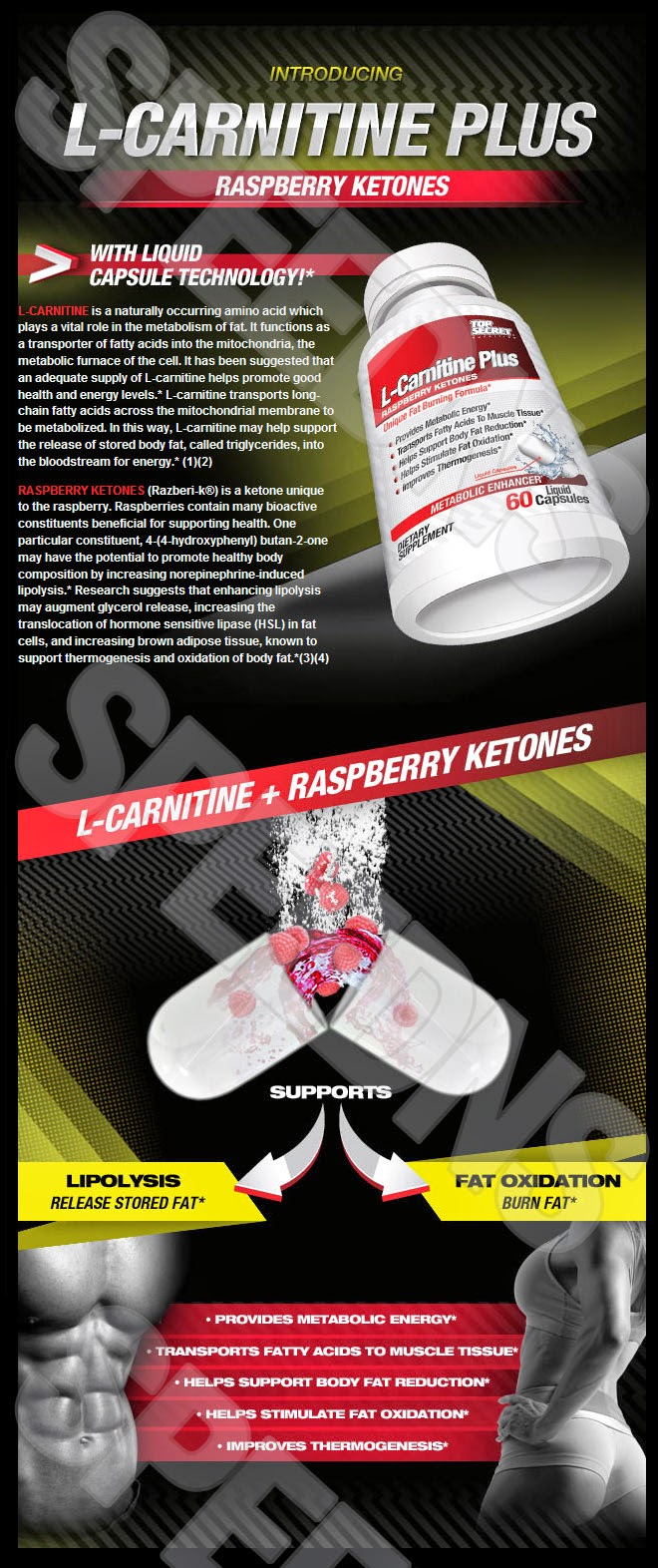 SPEEDNS (스피드엔에스) 헬스보충제 단일 아미노산 Top Secret Nutrition L카르니틴 L