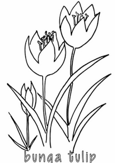 Mewarnai Bunga Tulip