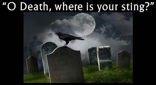 My Treasure Box What Does The Bible Say About Death