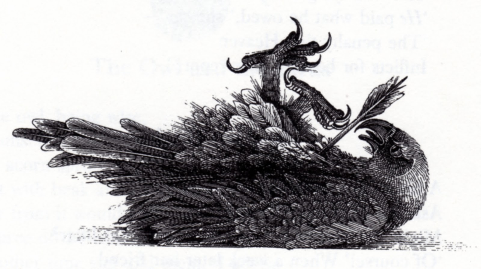 John Vernon Lord 'The Eagle and the Arrow'