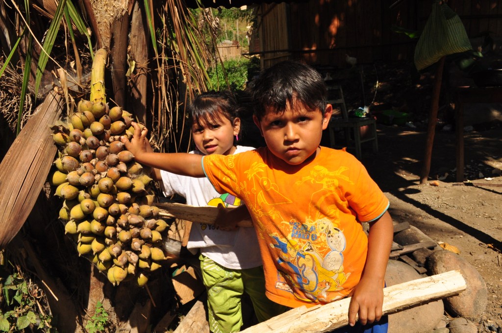 Resultado de imagen para Los Itonama