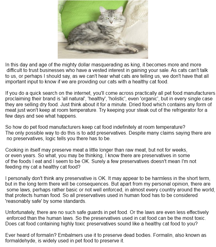 healthy cat food aminemohammed0