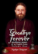 Goodbye Forever - Volume One