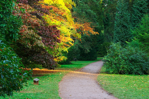 [Image: mua-thu-canada-2.jpg]