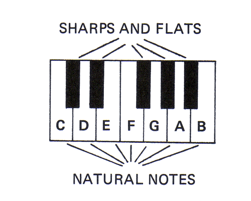 Sharps On Piano