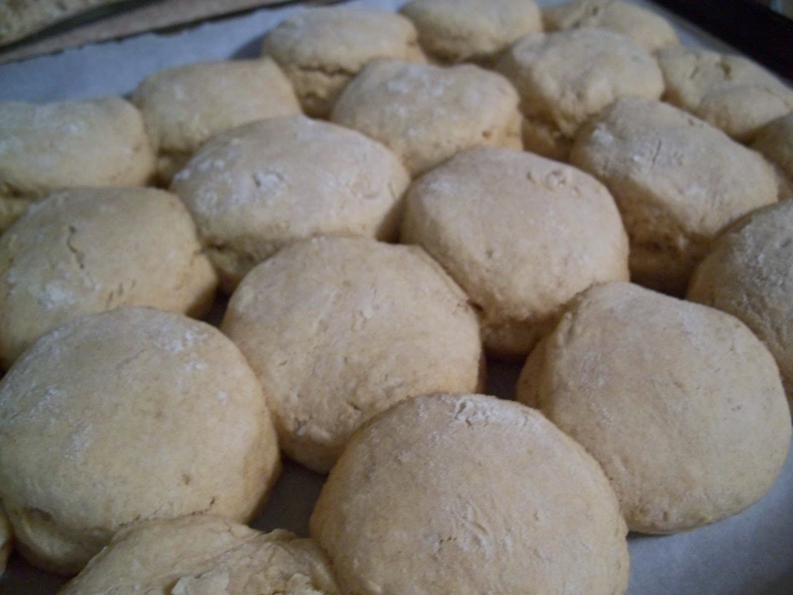 Raising Knights Whole Wheat Buttermilk Biscuits