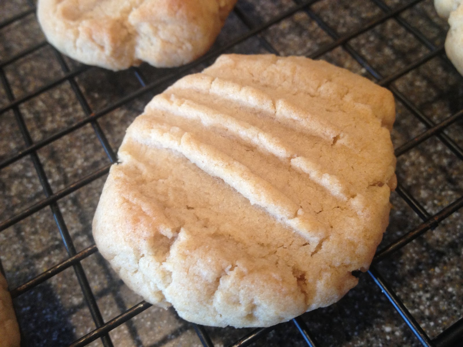 Hives in the Kitchen Allergy Free "Peanut" Butter Chocolate Swirl Cookies