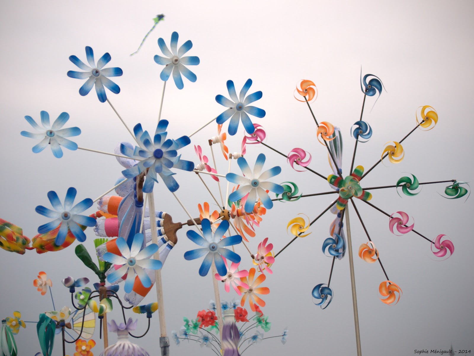 Les photos de Sophie Recyclage