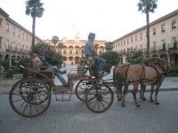 PASEOS EN COCHE DE CABALLOS